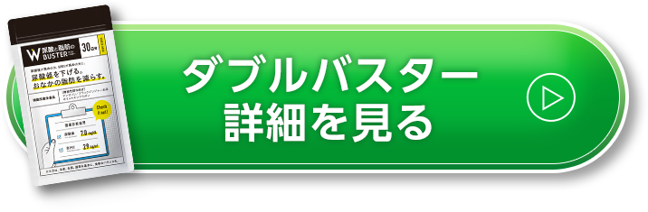 ダブルバスター詳細を見る