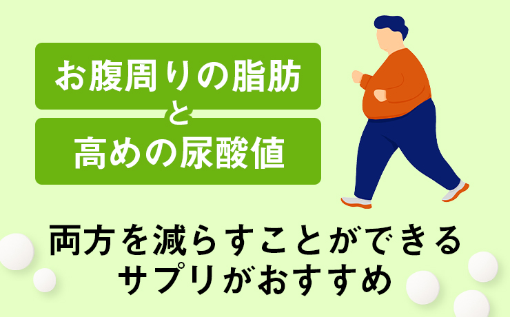 お腹周りの脂肪と高めの尿酸値 両方を減らすことができるサプリがおすすめ